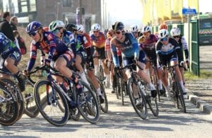 Samyn